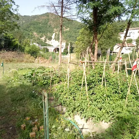 Lavecchiaconcia -de Oude Leerlooilerij Zommer