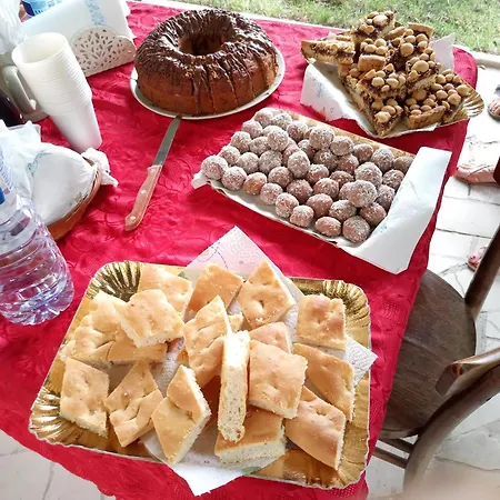 Lavecchiaconcia -de Oude Leerlooilerij Zommer