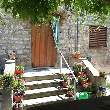 Lavecchiaconcia -de Oude Leerlooilerij Zommer *