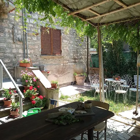 Lavecchiaconcia -de Oude Leerlooilerij Zommer